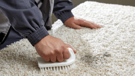 Professional Rug Cleaning Deakin